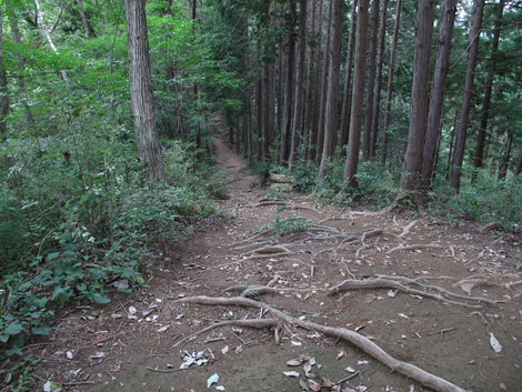 20171005hike (18)